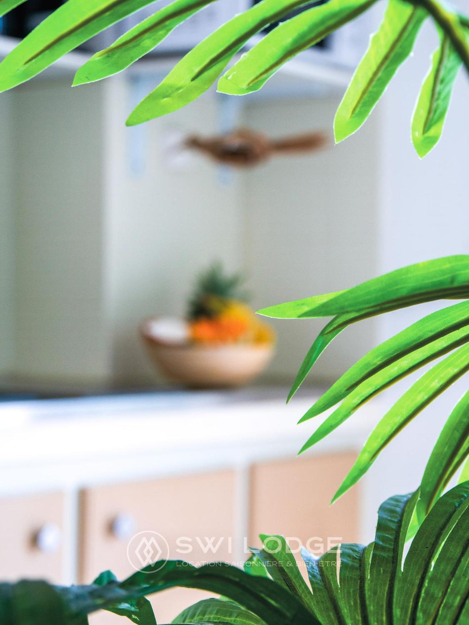 Appartement Swi Vue Sur